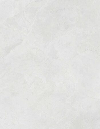 Dinamarca Gris Gloss - 800x800mm 1