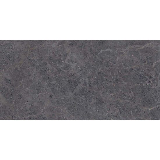 Fossil 300x600mm Anthracite Polished