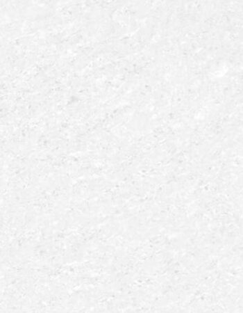 Tropix 600x600mm White Polished