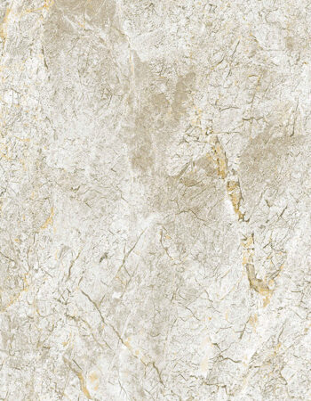 Premium Castle Grey Rectified Polished 600x600x10mm