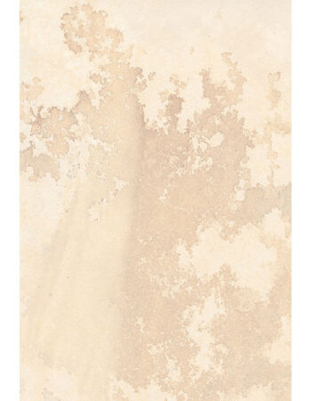 Fossil Mint 600x900x20mm Porcelain Paver