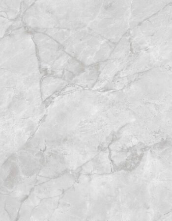 Elgin Light Grey 300x600mm